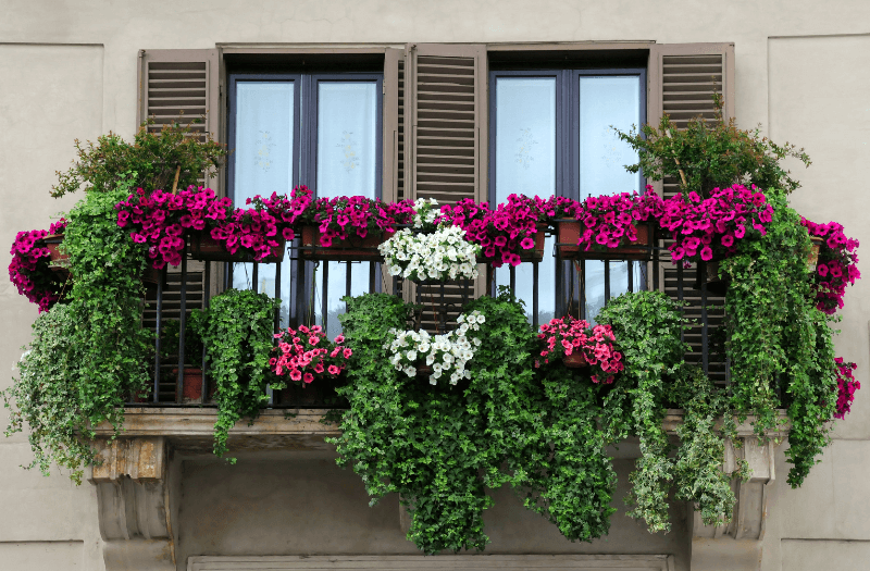 inspirasi taman di balkon